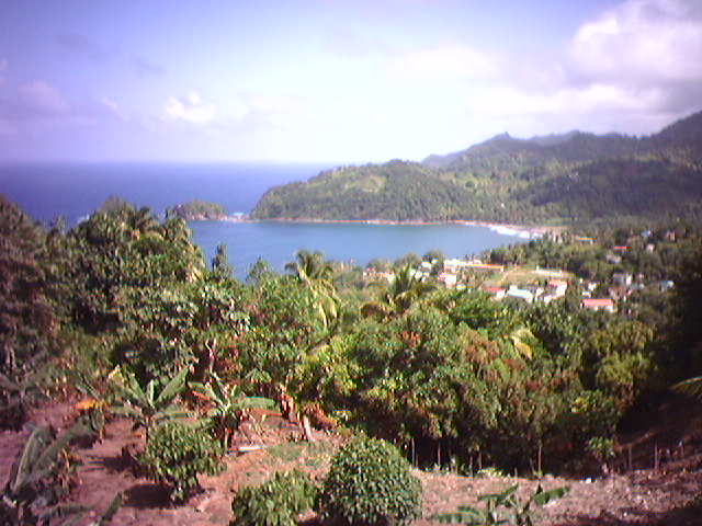 [view_from_islet_view.jpg]