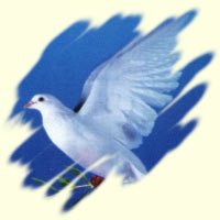 [dove-spiritualism.jpg]