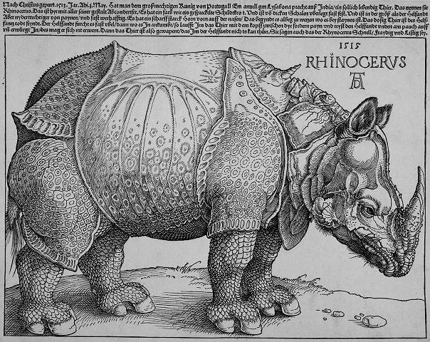 [durer-rhinoceros.jpg]