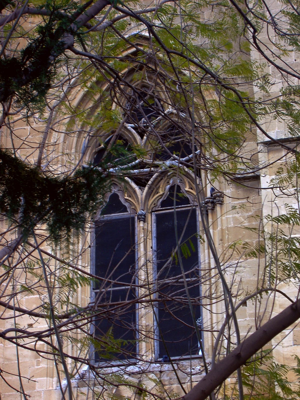 [10+Fenster+Notre+Dame.JPG]