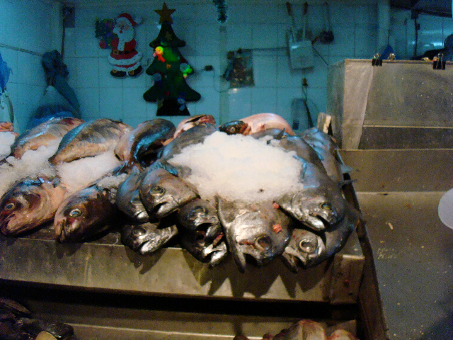 [Fish+Market+5-731048.jpg]
