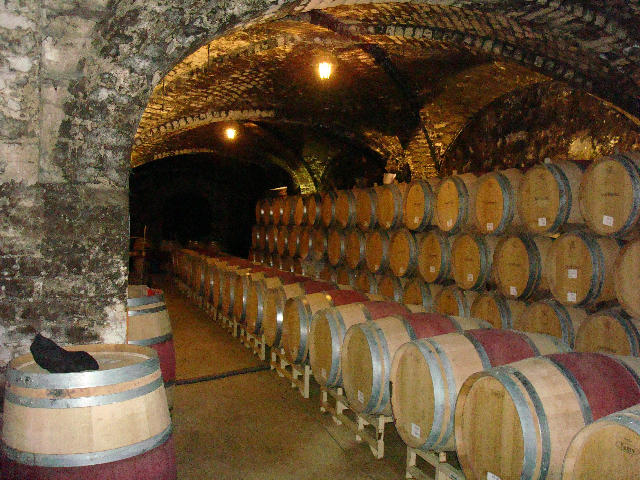 [Wine+Cellar+1+1.17.08-732147.jpg]