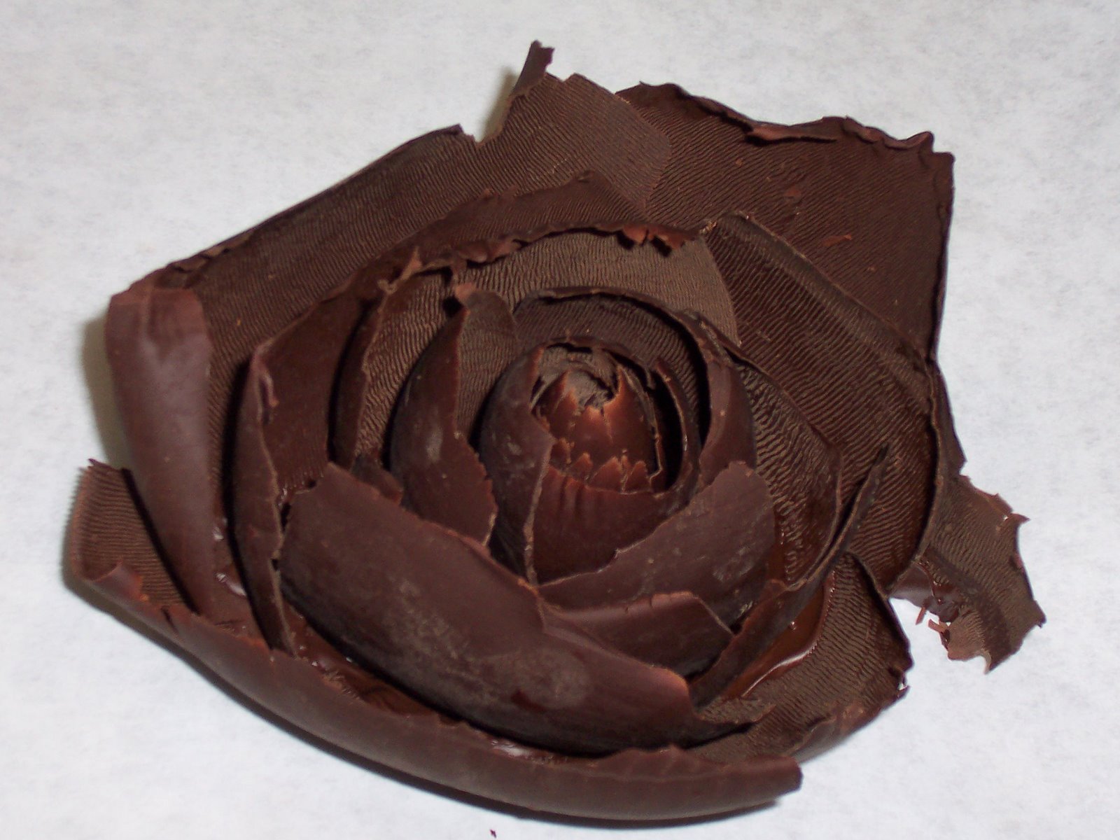 [chocolate+rose+028.jpg]
