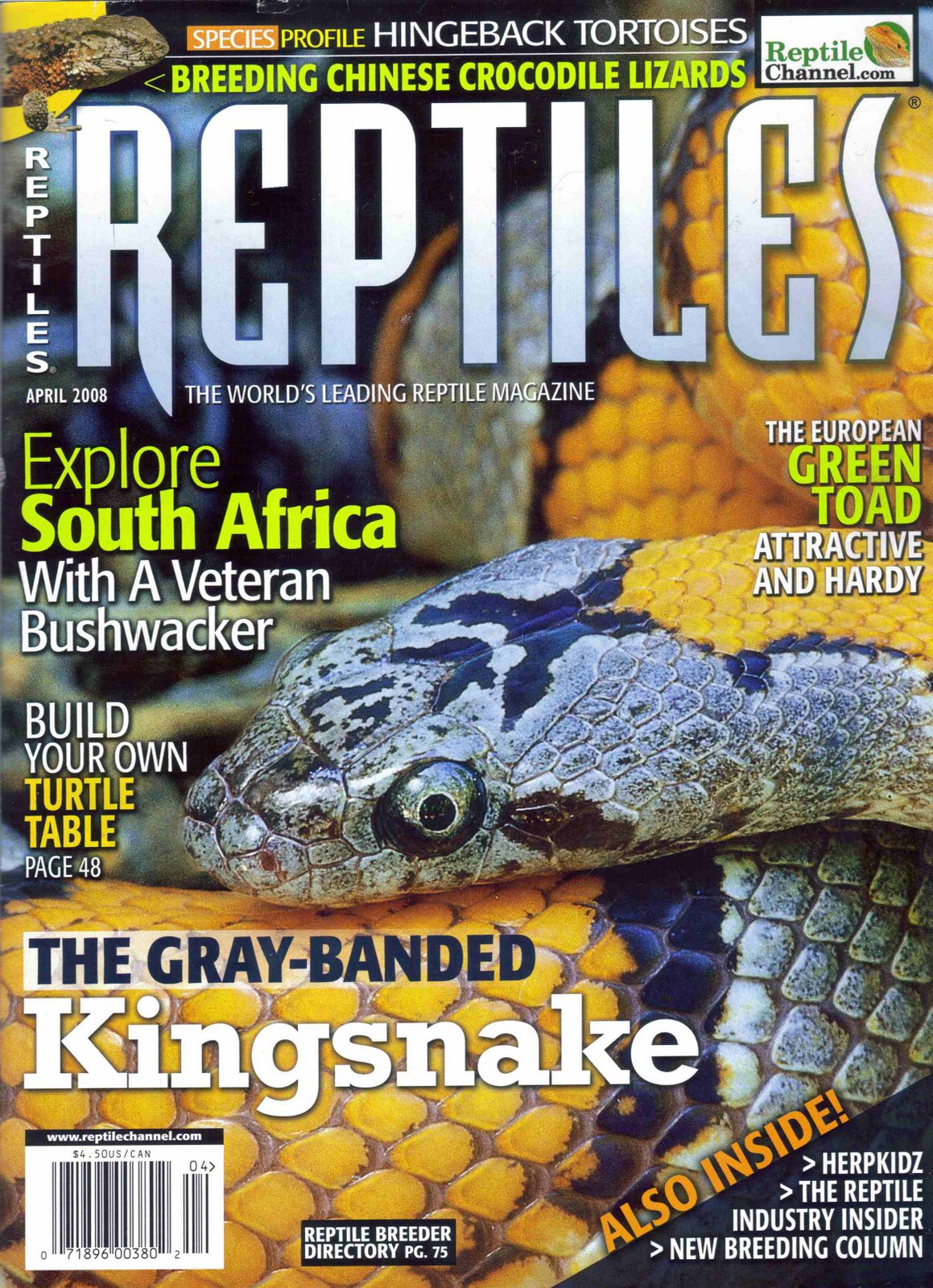 [reptiles_magazine_april_08_cover.jpg]
