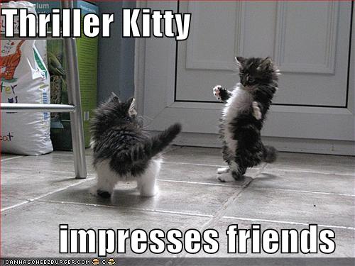 [funny-pictures-thriller-kitten-impresses.jpg]