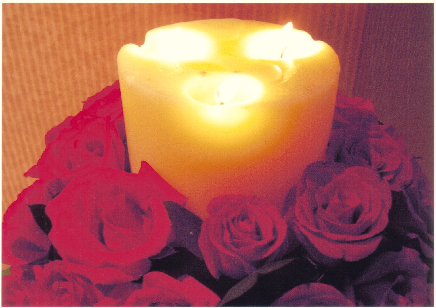 [candle&roses.jpg]