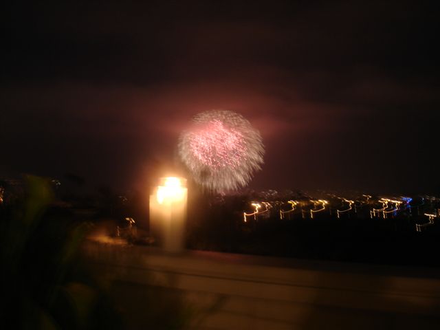 [Fireworks070407_046.jpg]