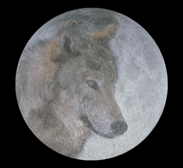 [wolf_moon_big.jpg]