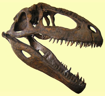 [Giganotosaurus+carolinii.jpg]