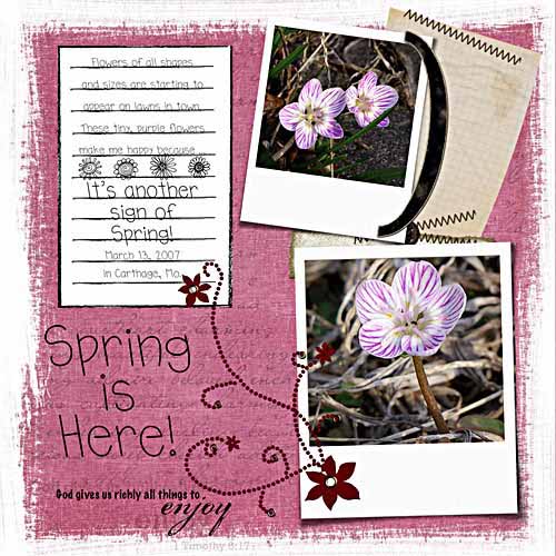 [March+-+Spring+Flowers+sm.jpg]