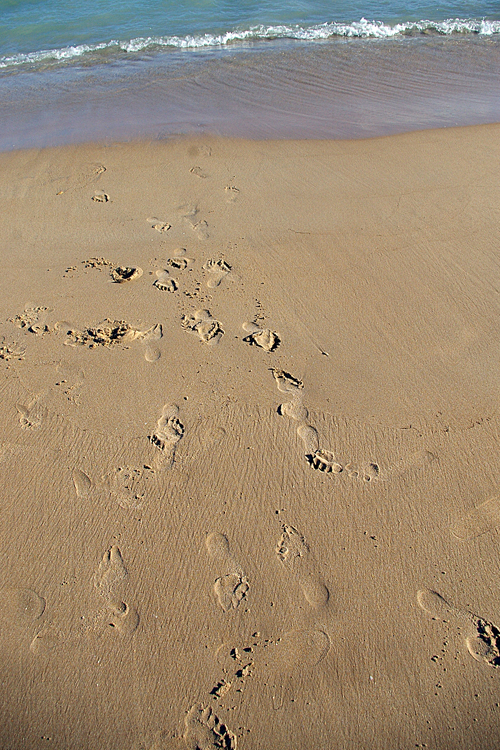 [0102+footprintsweb.jpg]