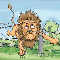 [Electric+Fencing+-+lion.jpg]