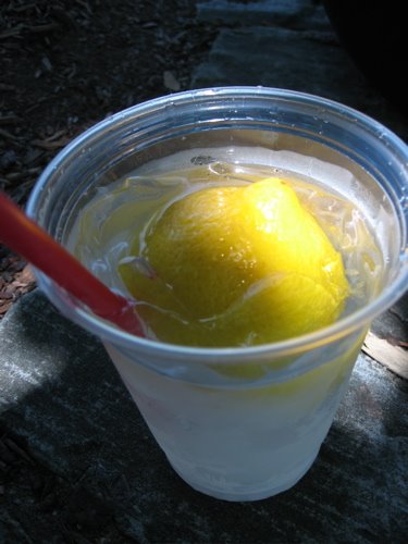 [Lemonade.JPG]