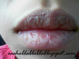 [small+jolie+lips.jpg]