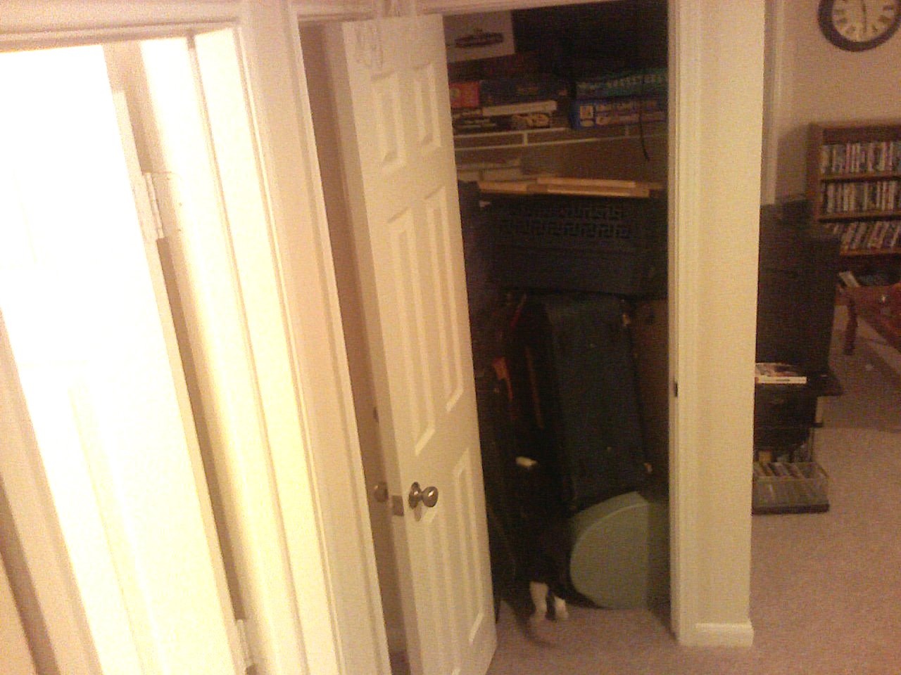 [cat+in+closet.jpg]
