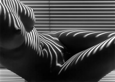 [CLERGUE_nude+zebra+new+york+1997.jpg]