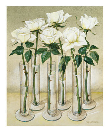 [White-Roses-Print-C10337028.jpg]