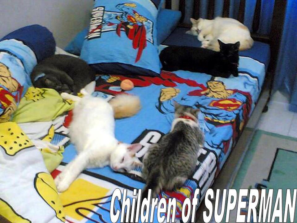 [children+of+superman.jpg]