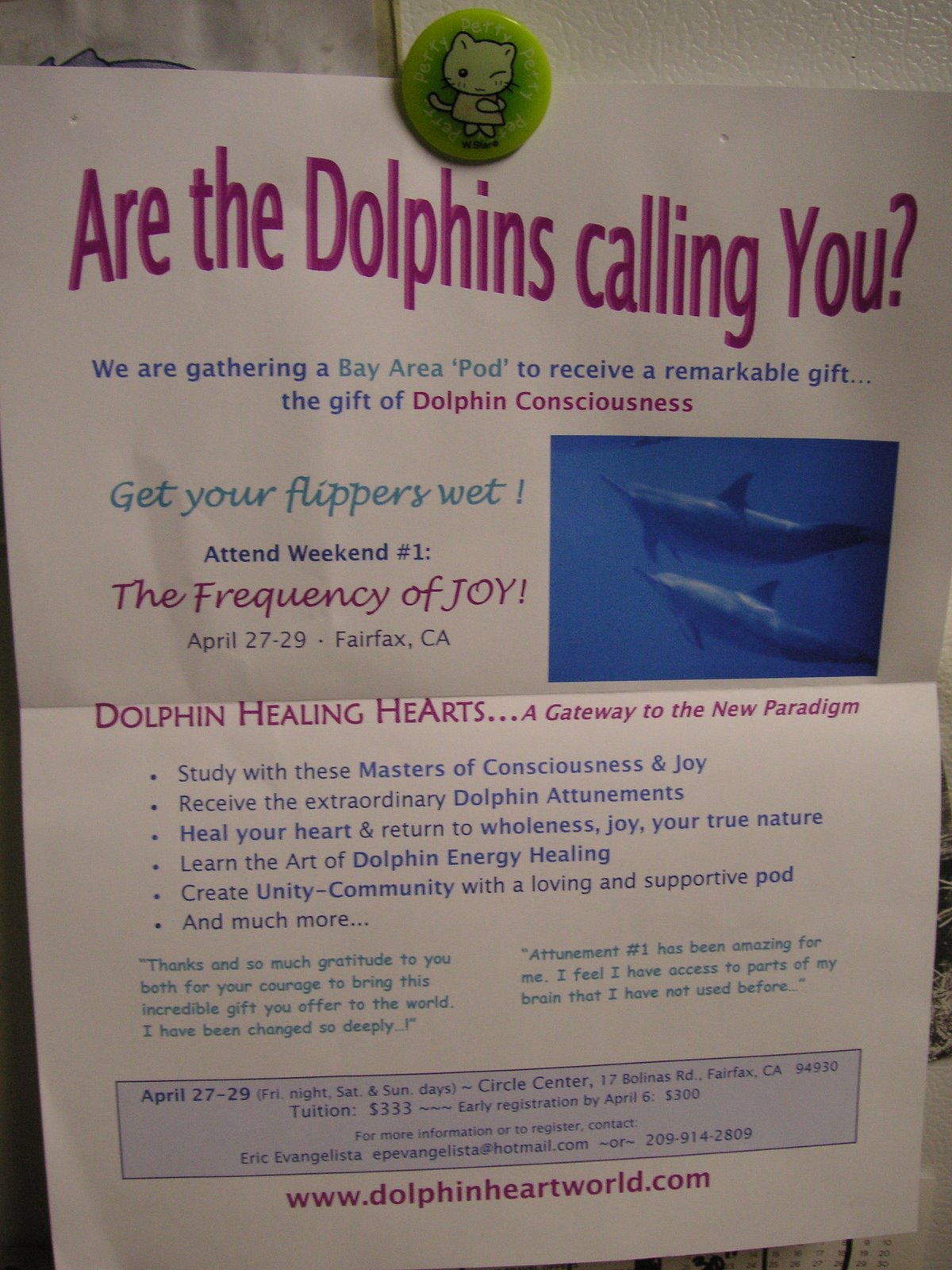 [Dolphins+calling+you.jpg]