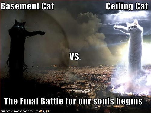 [funny-pictures-basement-cat-vs-ceiling-cat.jpg]