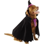[cape_hat_2_piece_pet_costume_witchy_poo.jpg]