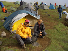 Ararat green Camp
