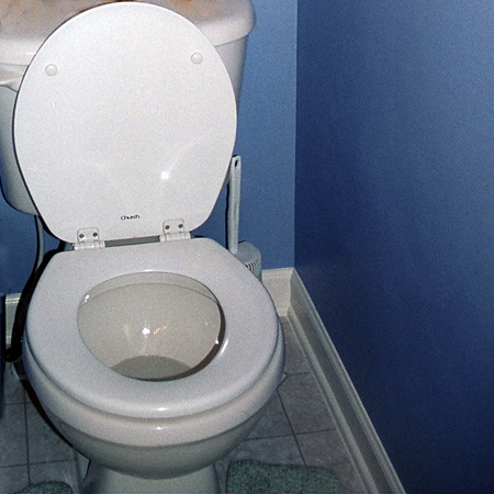 [toilet_seat.jpg]