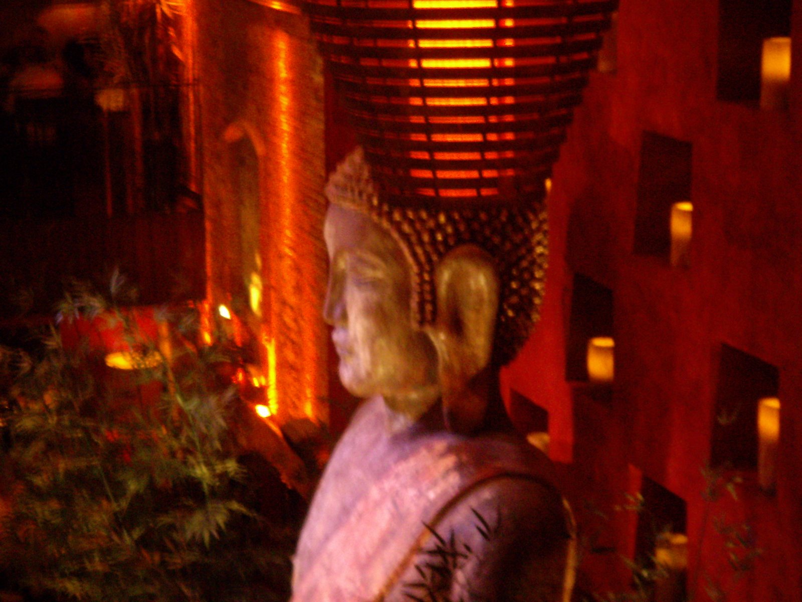 Our view of the giant buddha