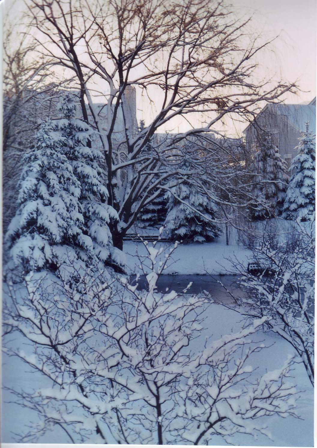 [Chicago+Snow+(Jan+2006)+03.jpg]