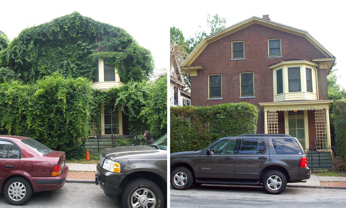 [before+and+after+ivy.jpg]