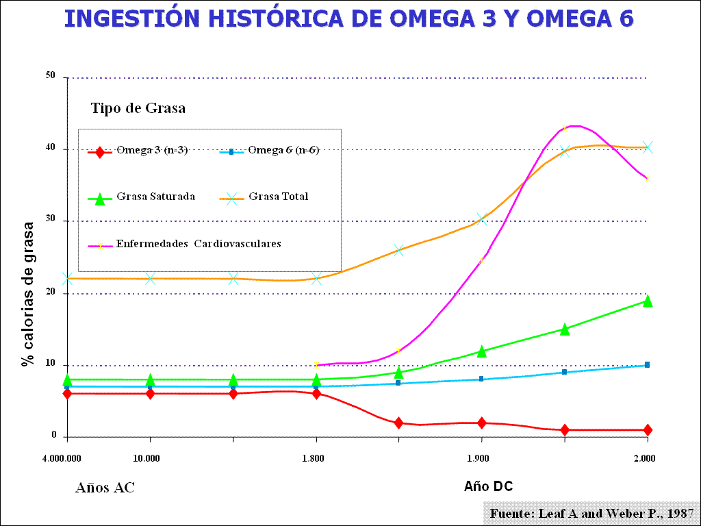 [ingestion_historica_omega3yomega6.GIF]