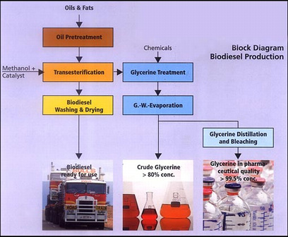 [Biodiesel_diagram.jpg]