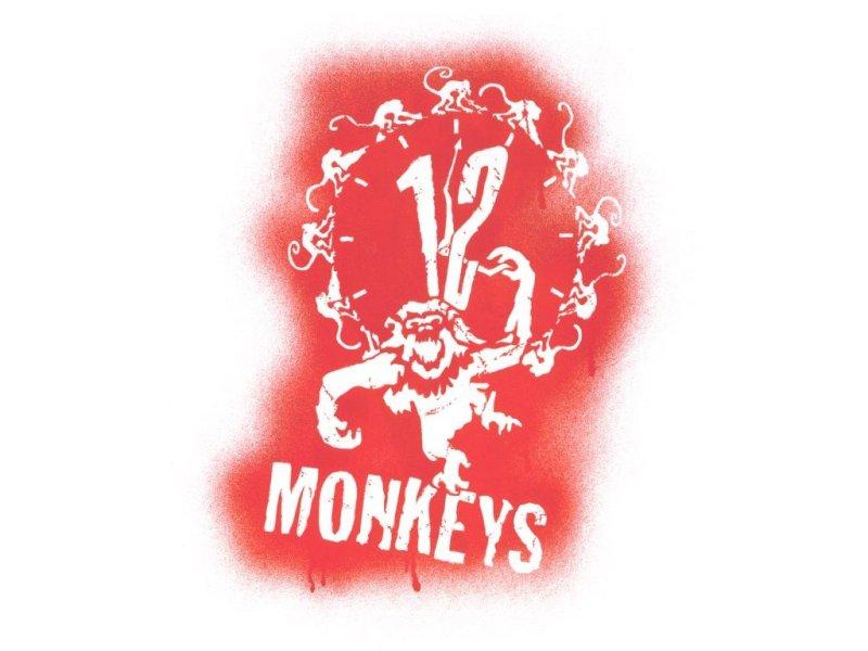 [12+monos-12+monkeys.jpg]