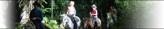 [banner_tours_horse_riding.jpg]