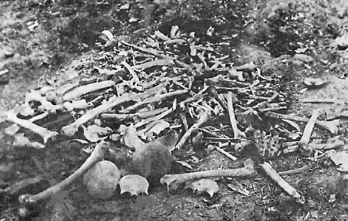 [armenians+bones.jpg]