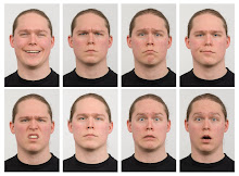 Example: Basic Set of eight emotions