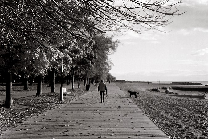[Walking+the+Dog.jpg]
