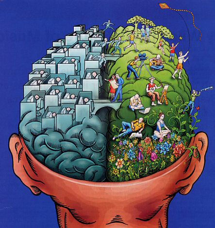 [brain+hemisphere.jpg]