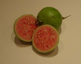 [guavas.jpg]