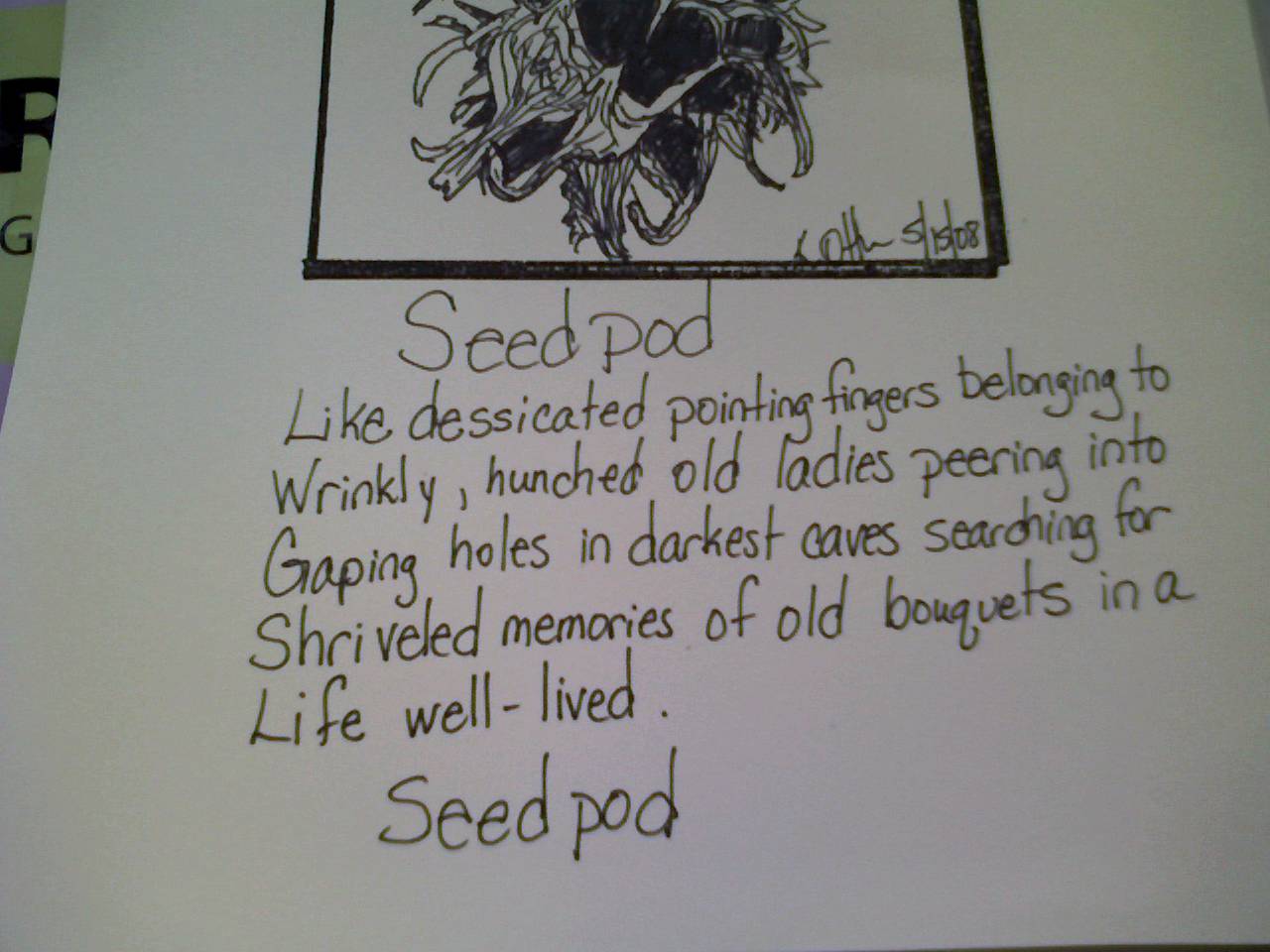 [seedpod+poem.jpg]
