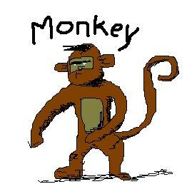 [monkey-707948.JPG]