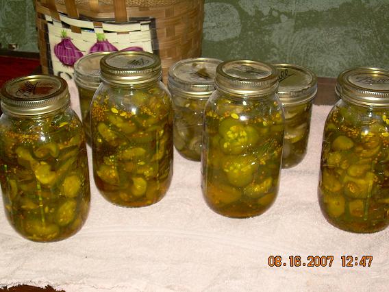 [pickles.JPG]