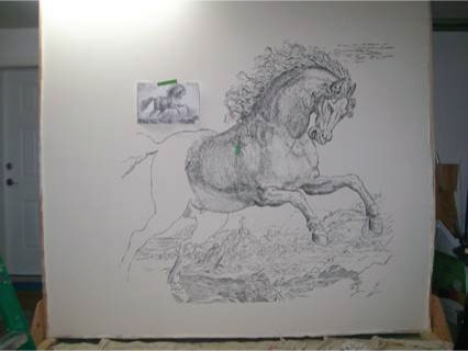 [Horse-studio-1.jpg]