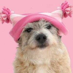 [pink+hat.jpg]