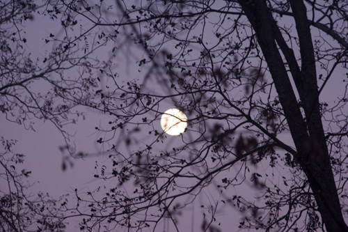 [dusk+moon.jpg]