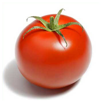 [tomate2.jpg]