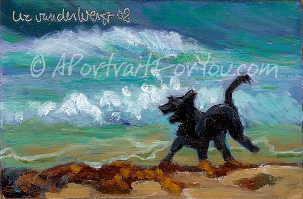 [080528_labradoodle_ocean_beach_oil_painting_600.jpg]