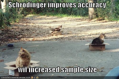 [funny-pictures-cats-boxes-shrodinger.jpg]