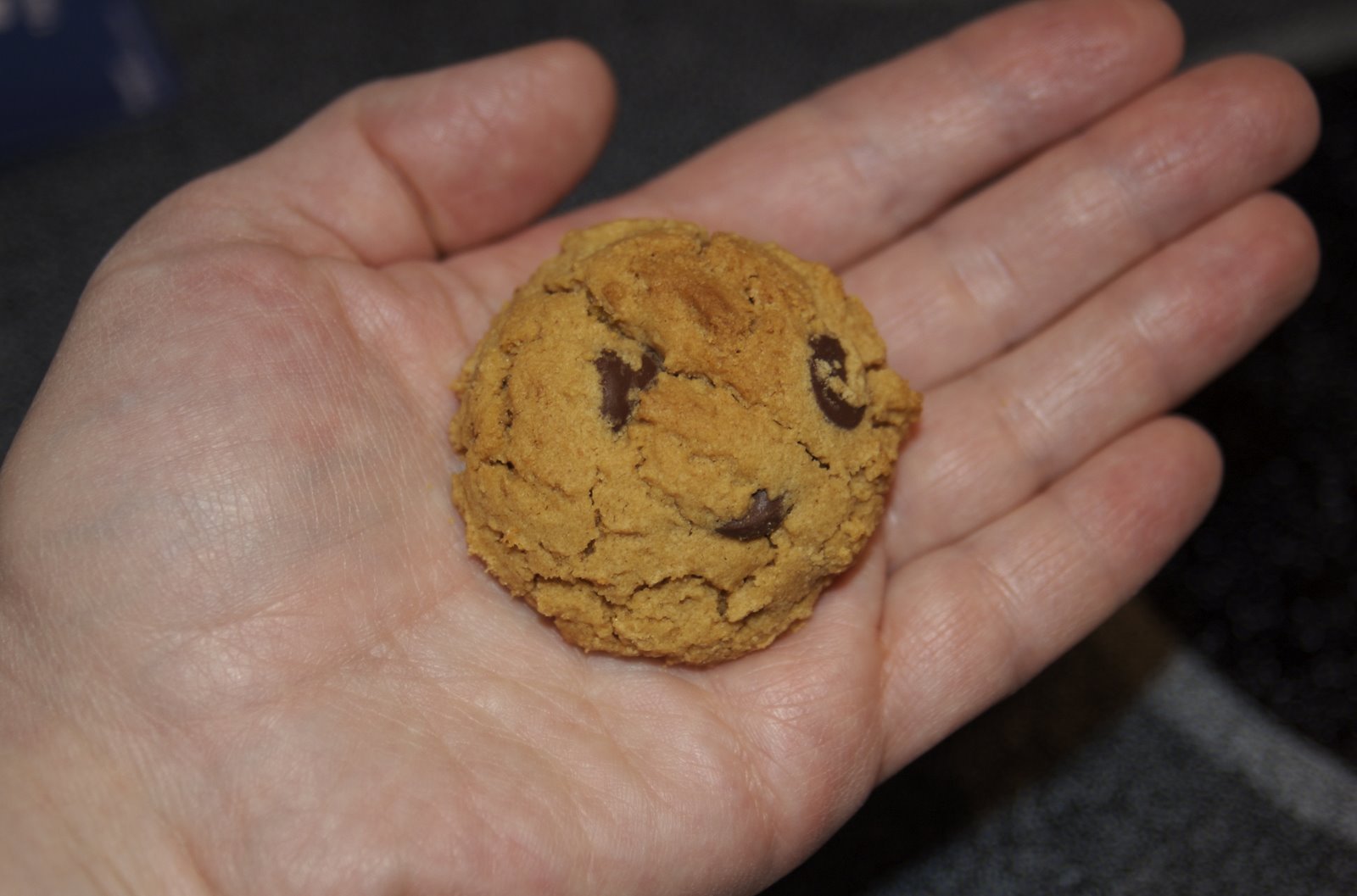 [cookie.jpg]
