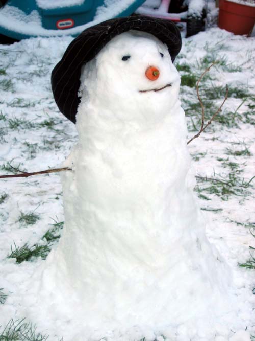 [Bert+the+snowman+with+organic+carrot!.jpg]